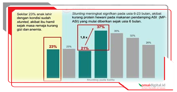 Gerakan Ibu Hamil Sehat Turunkan Stunting. Manfaat Menyusui Bagi Ibu, Herba ASIMOR Meningkatkan ASI